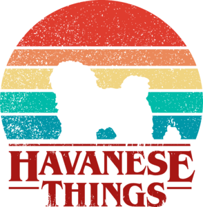 Havanese Things